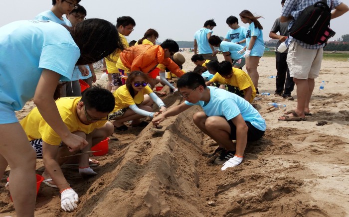 东戴河拓展训练，东戴河拓展培训，东戴河团建二日游，东戴河海边沙滩拓展团建活动